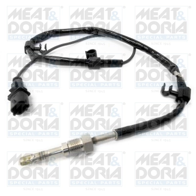 Sensor, exhaust gas temperature